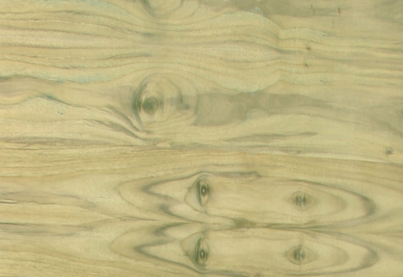 Fresco Myanmar Teak Wood Veneers From Decowood
